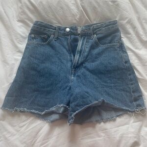 Everlane Blue Jean Shorts